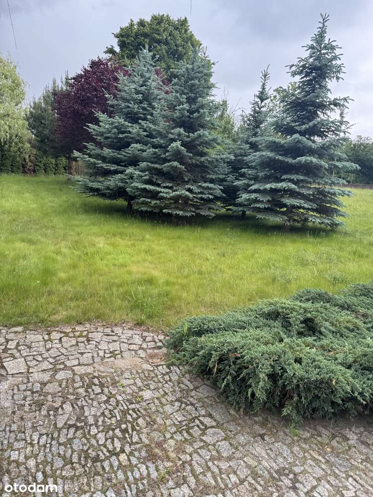 Działka w otoczeniu natury Strzeszyn (Wola) - Pełny obrazek: 4/5