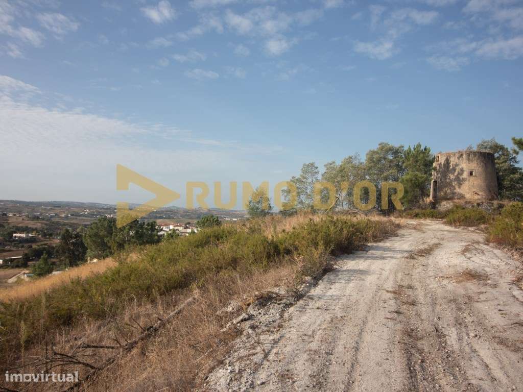 Moinho em Surraipas, Pocariça-5