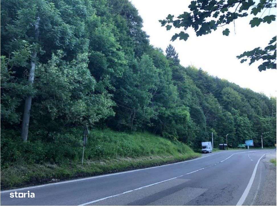 Teren intravilan in Busteni - Imagine principală: 4/5