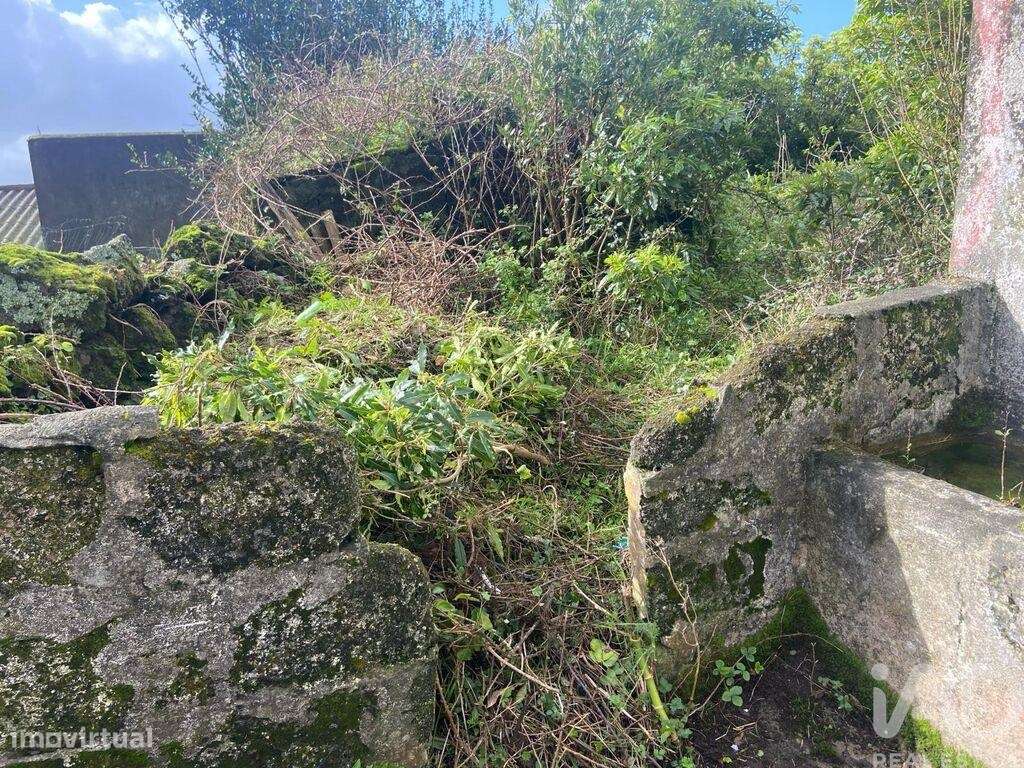 Casa de Campo T2 em Santo Amaro de 36,00 m2 - Grande imagem: 3/14