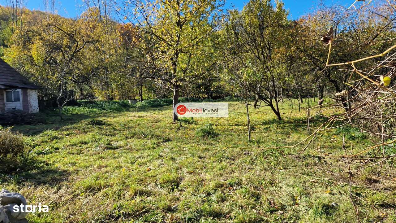 Casă cu farmec în Ampoița – liniște, natură și aer curat!-2