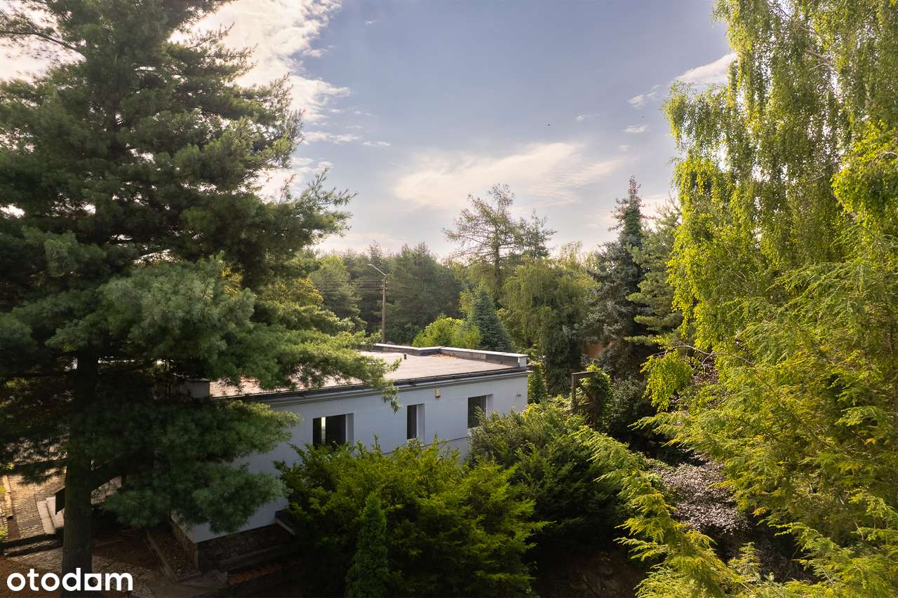 Puszczykowo dom w cenie mieszkania-10