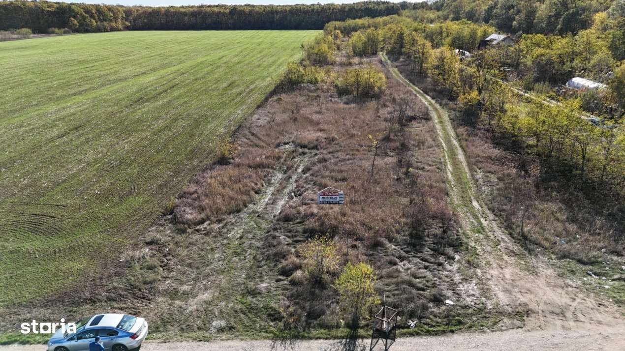 Snagov padure - Teren intravilan cu PUZ aprobat - Imagine principală: 4/9