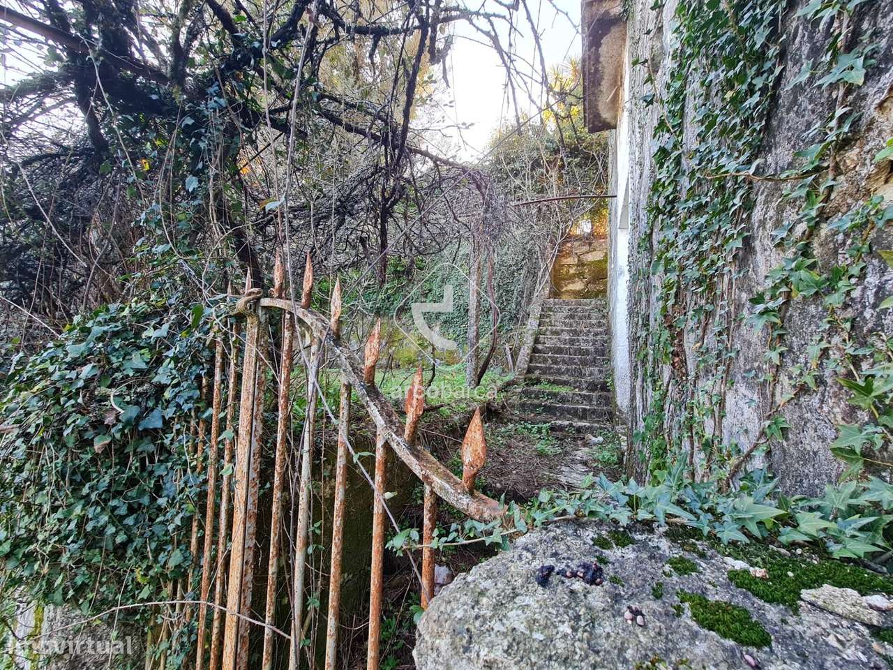 Propriedade unica; Qta Rural C/8 artº urbanos p/habitação, 3ha terreno - Grande imagem: 4/52