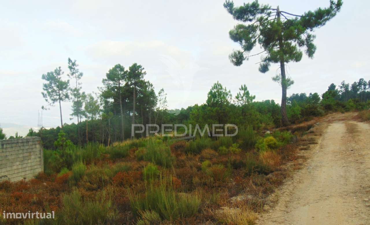 Terreno urbanizável em Abaças / Vila Real - Grande imagem: 4/14