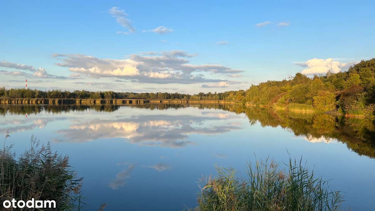Działka budowlana 760m² Chorzów, Maciejkowice - Pełny obrazek: 4/8