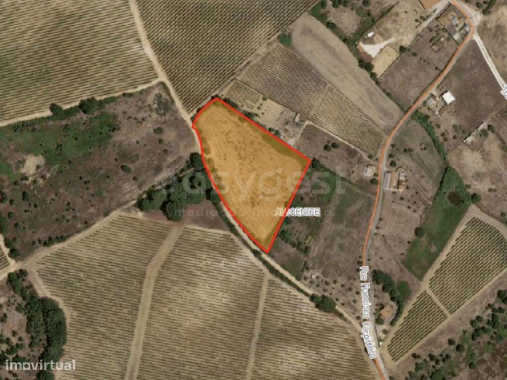 Terreno Rústico com 9600mt2 em Alcoentre, Azambuja - Grande imagem: 3/15