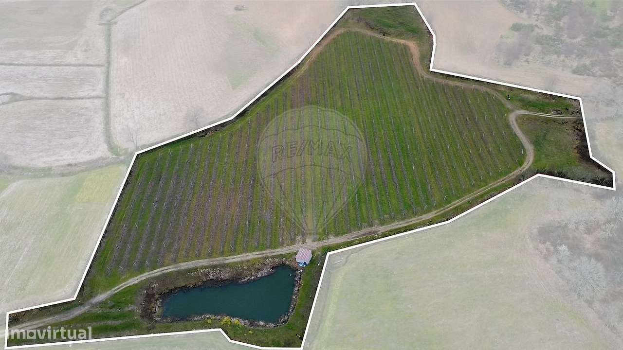 Terreno  para venda - Grande imagem: 2/12