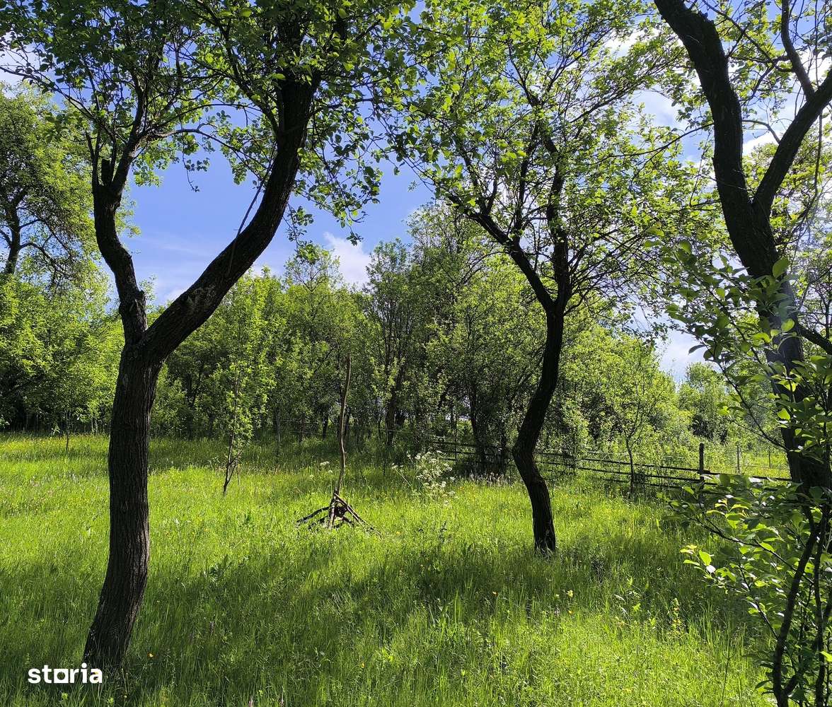 Teren de vânzare în Tiocul de Jos, comuna Cornești (zona Gherla) - Imagine principală: 2/2