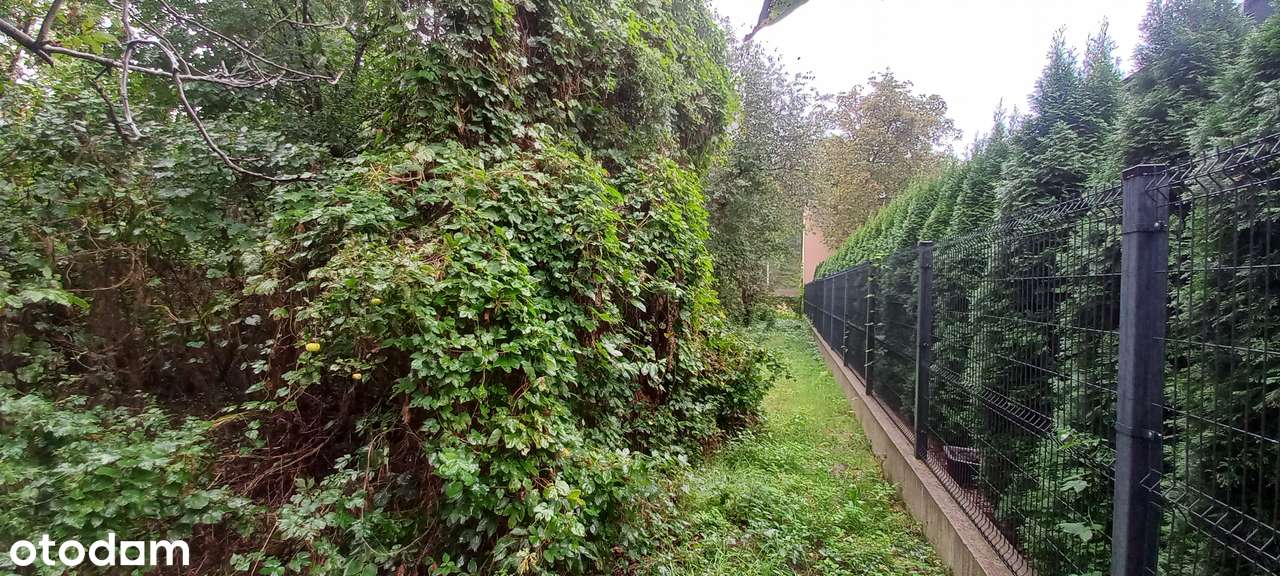 Udziały na sprzedaż- Działka w otoczeniu zabudowy jednorodzinnej-0