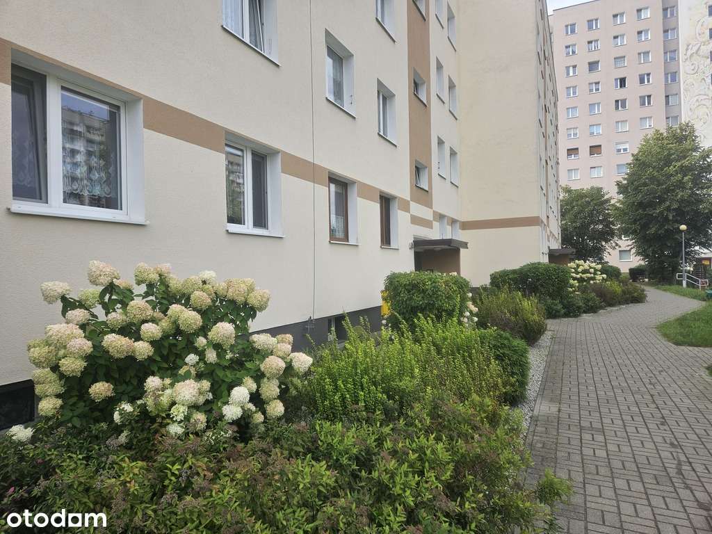 Perełka z olśniewającą kuchnią. na os.Przyjaźni.-11