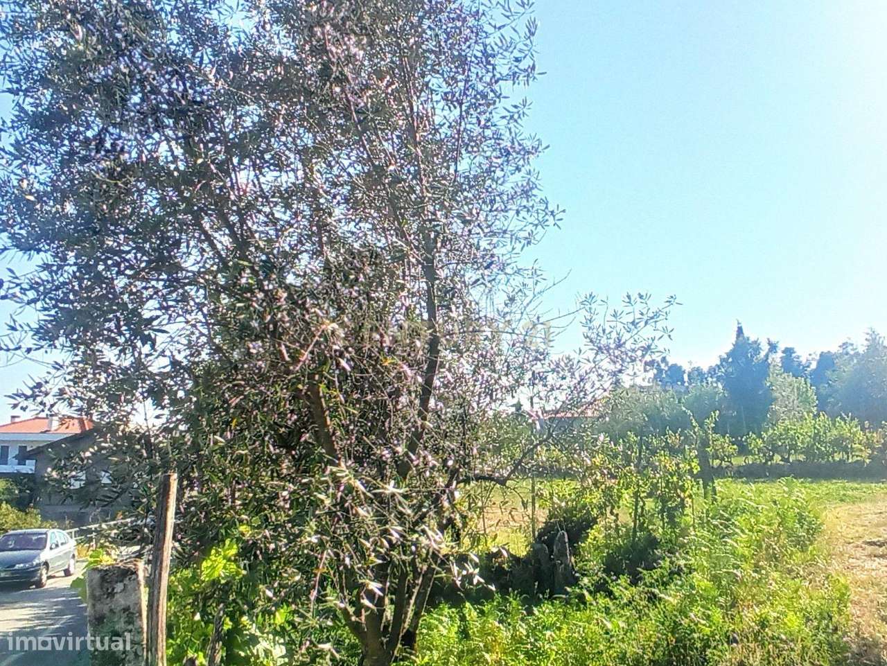 Terreno com 2600m2 em Viseu, zona de construção H2 com Poço - Grande imagem: 5/14