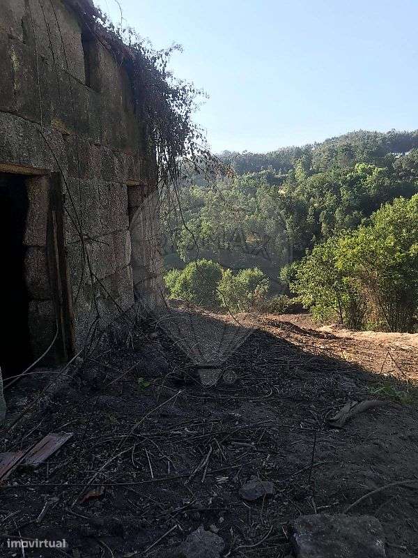 Quinta  para venda - Grande imagem: 4/19