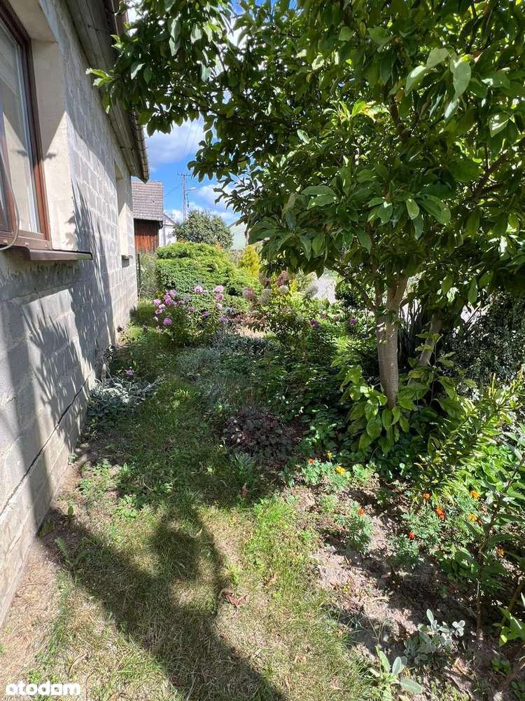 Duża działka z domem i zabudowaniami gospodarczymi - 6200 m² - Pełny obrazek: 5/20