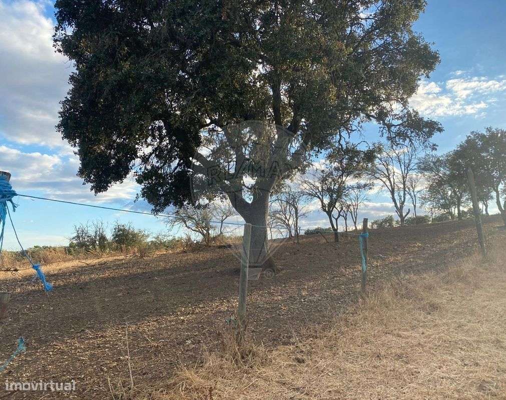 Terreno  para venda - Grande imagem: 2/8