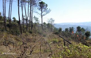Terreno  para venda - Grande imagem: 4/7
