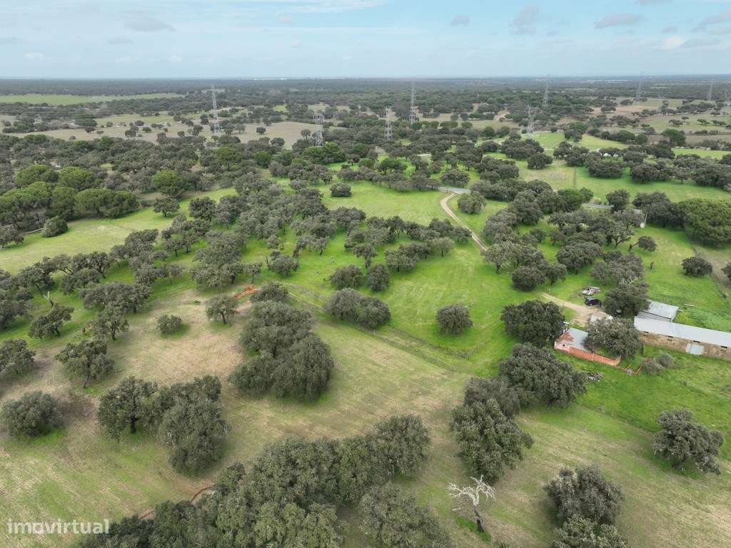 Propriedade Rústica com 11 Hectares junto a Canhestros-28