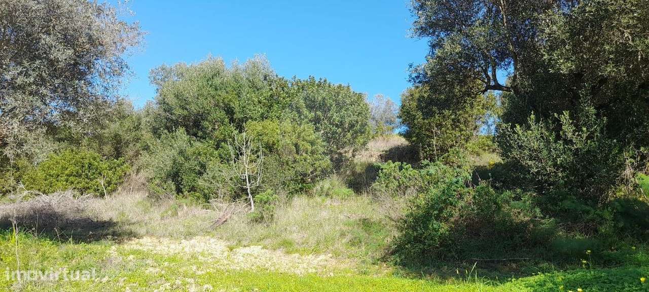 Terreno  para venda - Grande imagem: 3/10