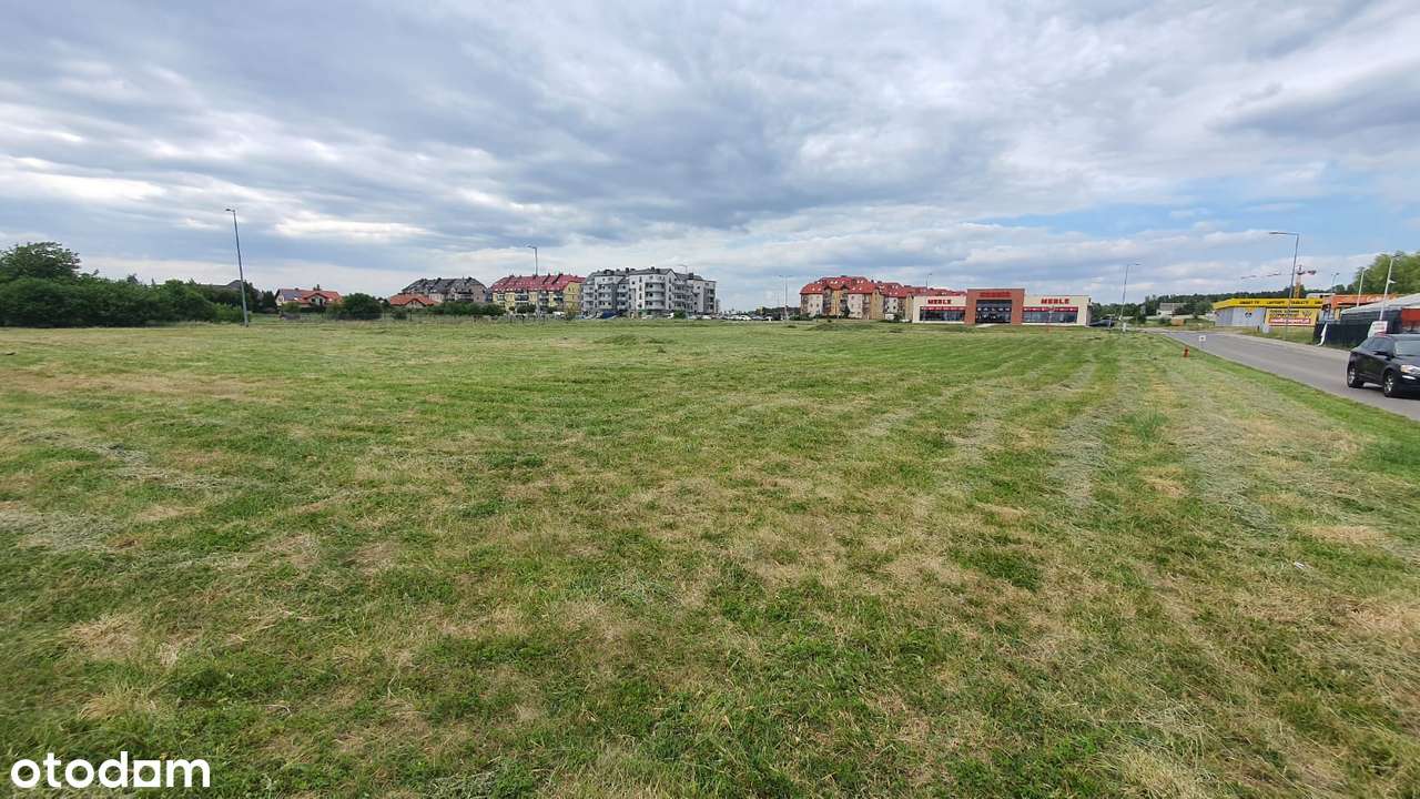 Polkowice - działka 75 a na sprzedaż-7
