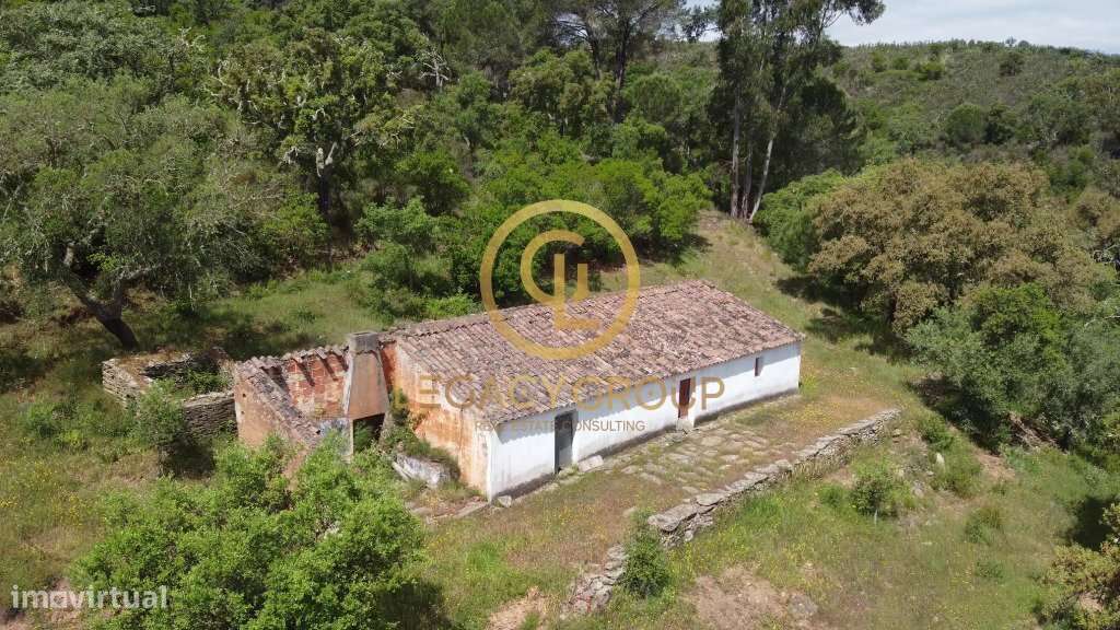 Quinta de 6 hectares perto de São Martinho das Amoreiras-1