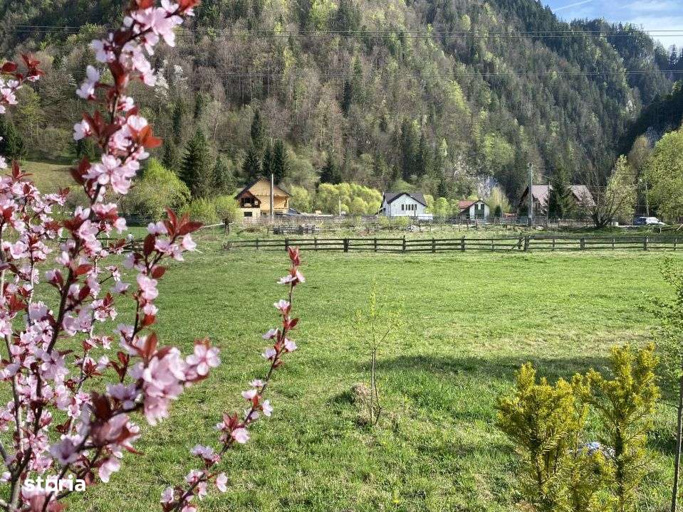 Teren panoramic insorit, utilitati, panta mica si padure, turism sau v-2