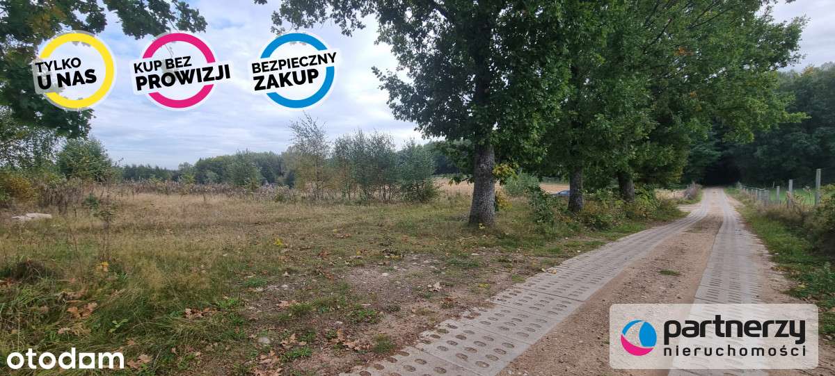 Działki W Okolicy Bytowa - Pełny obrazek: 5/12