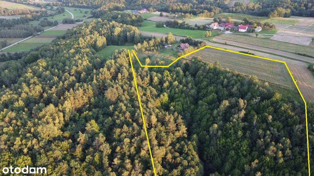 WIDOKOWA działka na WZGÓRZU z panoramą na Góry Św.-7