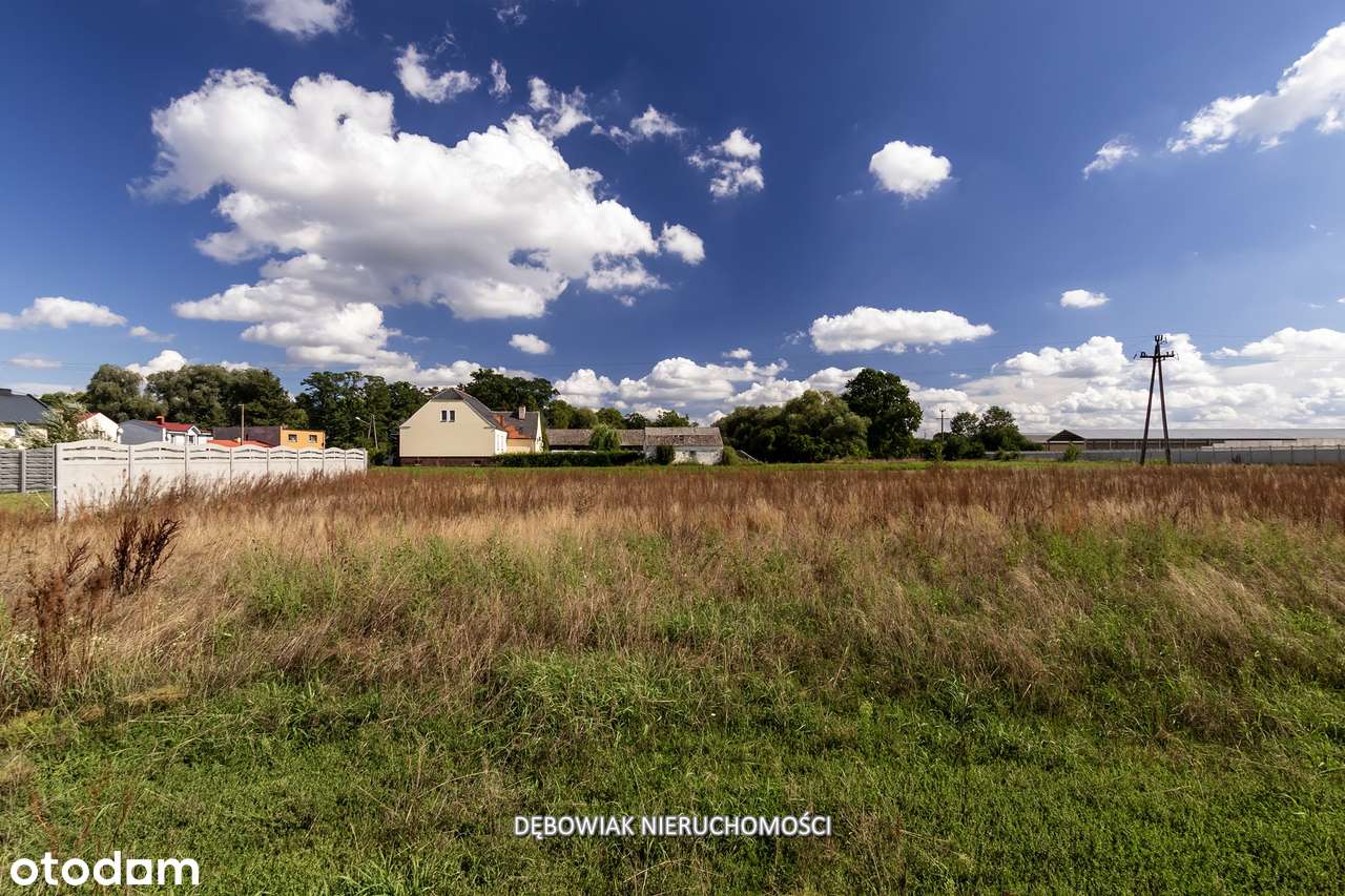 Działki budowlane niedaleko jeziora Krzyckiego - Pełny obrazek: 4/12