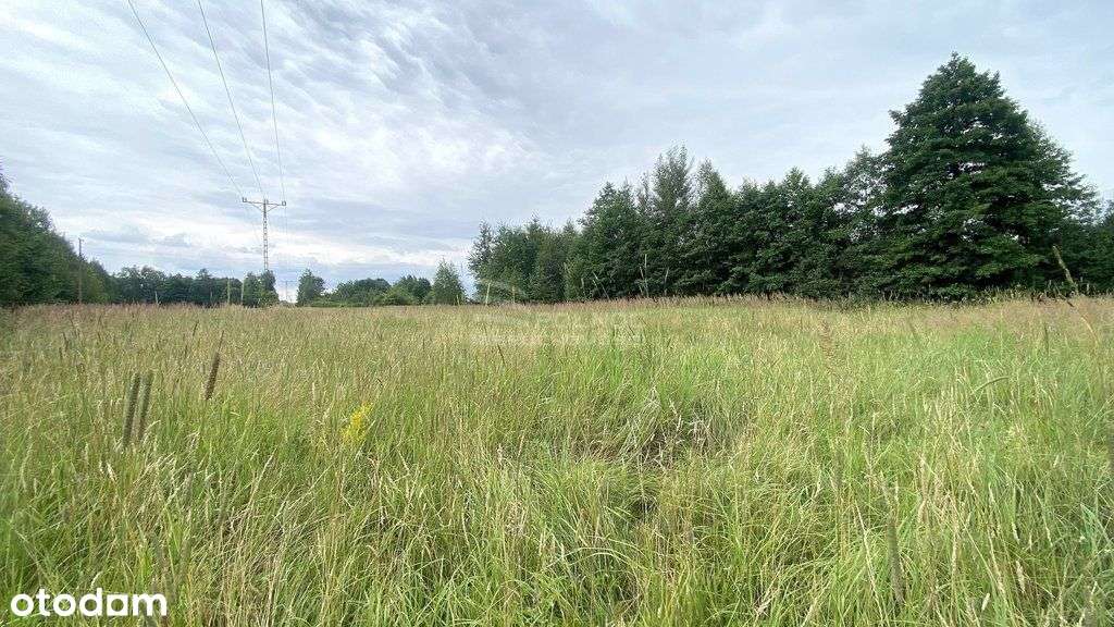 Działka budowlana 2000m² w pięknej okolicy! - Pełny obrazek: 5/10