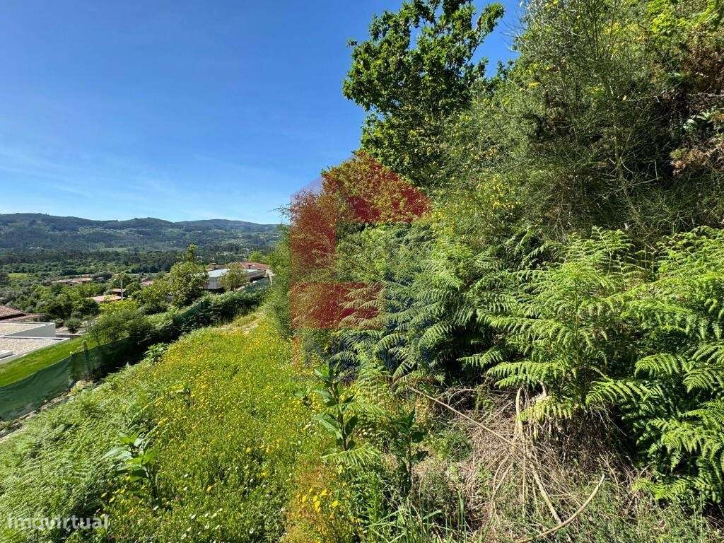 Terreno Florestal, Sande - Grande imagem: 2/8