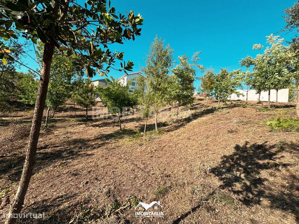 Terreno rústico de 8000 m2 com viabilidade de construção a cerca de... - Grande imagem: 2/20