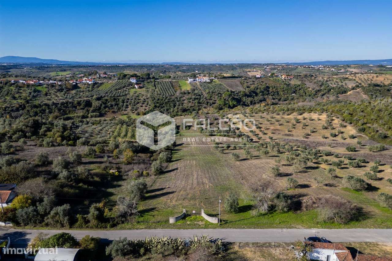 Terreno Para Construção  Venda em Moçarria,Santarém-18