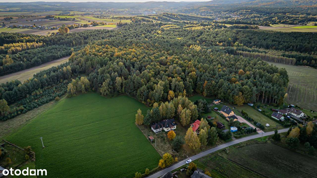 Dom na sprzedaż - Gołuchowice gmina Kroczyce - dom na JURZE-10