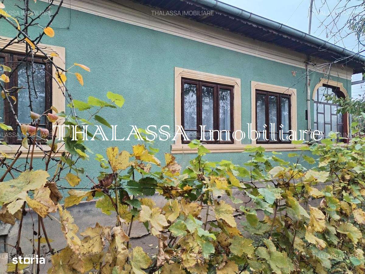 Casa si gospodarie Segarcea-0