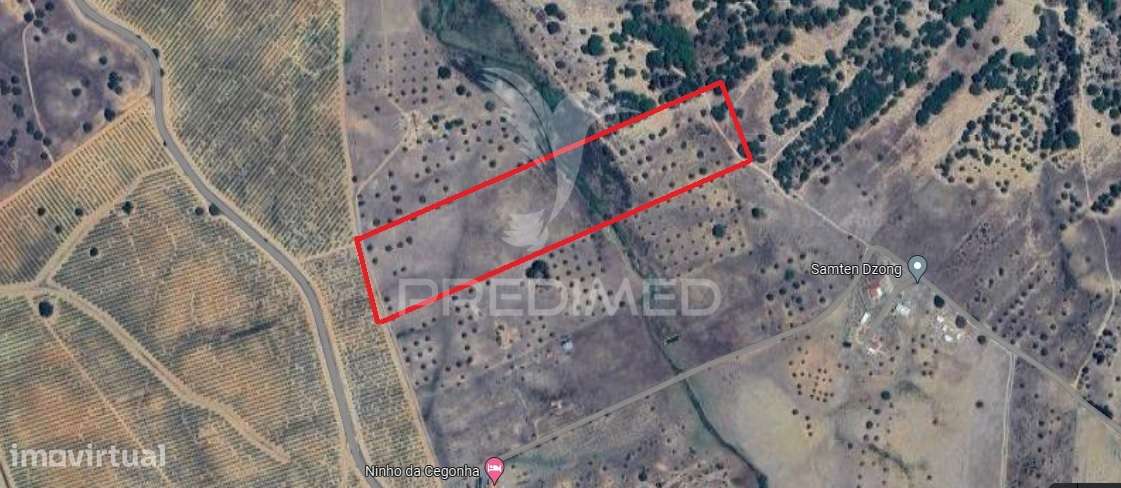 Terreno com mais de 5 hectares para venda em Ferreira do Alentejo - Grande imagem: 3/12