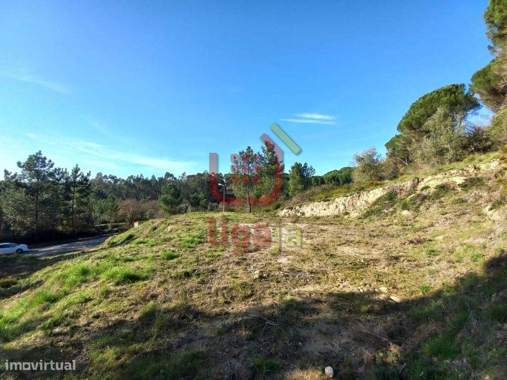 Lote p/Construção - Ourém - Grande imagem: 4/5