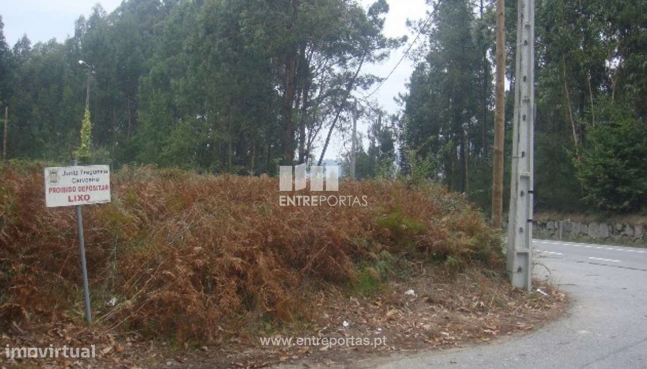 Venda de Terreno, Carvoeiro, Viana do Castelo - Grande imagem: 3/30