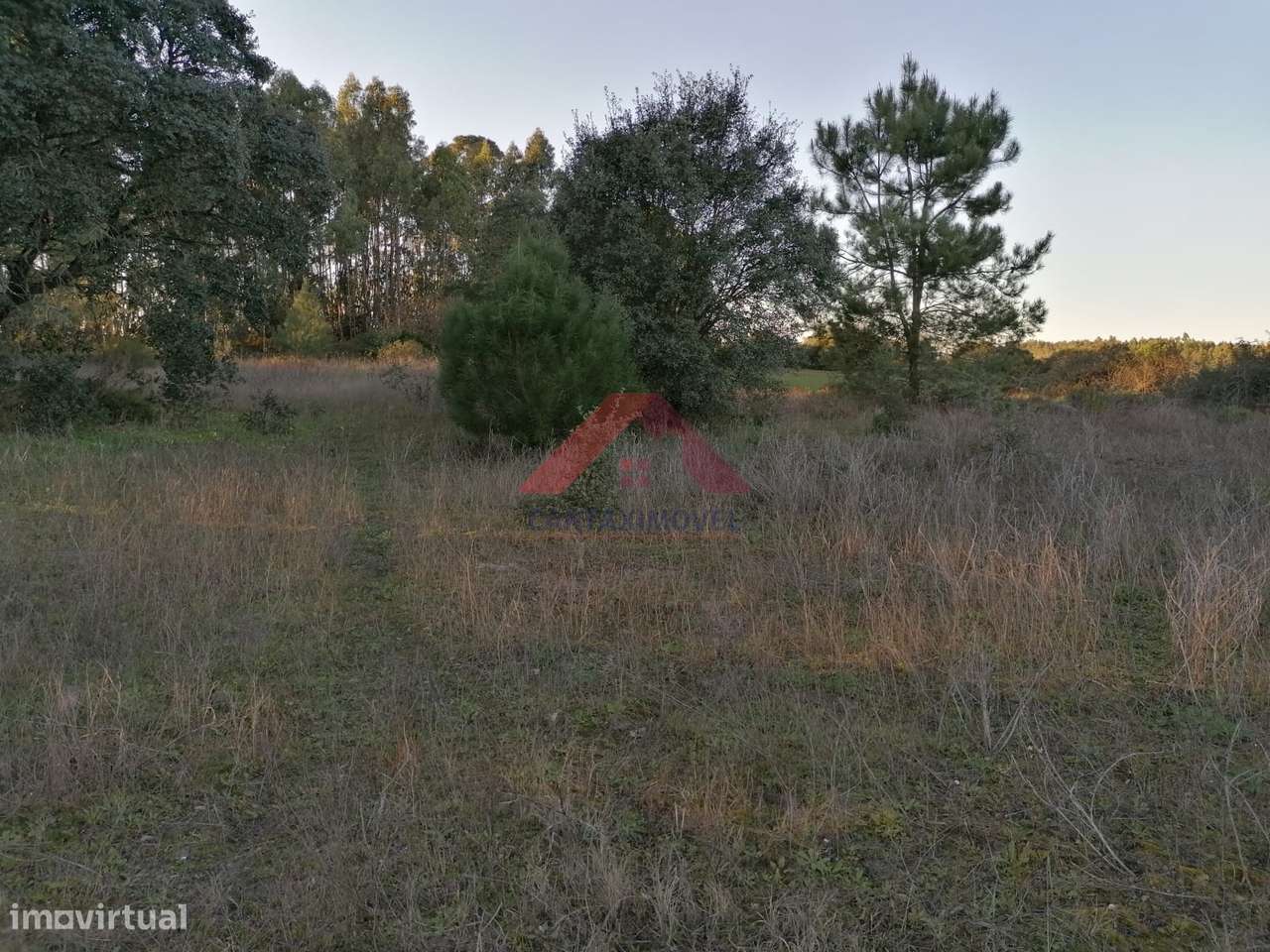 Terreno  Venda em Almoster,Santarém - Grande imagem: 3/14