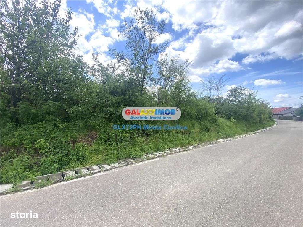 Vanzare teren intravilan Baicoi zona Tintea - Imagine principală: 2/6