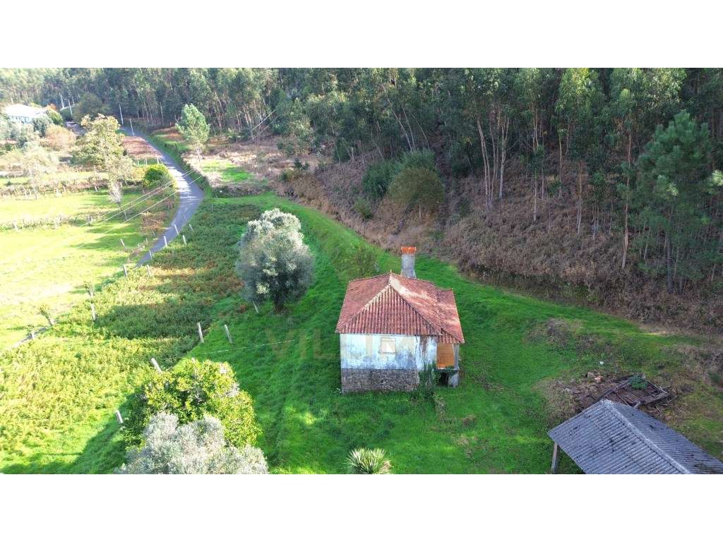Terreno Urbano - Moreira do Lima - Ponte de Lima - Grande imagem: 3/10