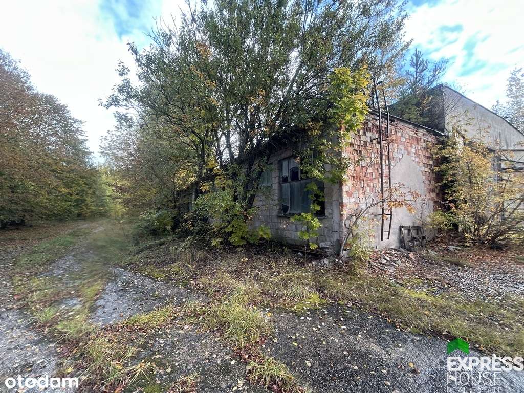 Oferta Inwestycyjna - Pełny obrazek: 5/6