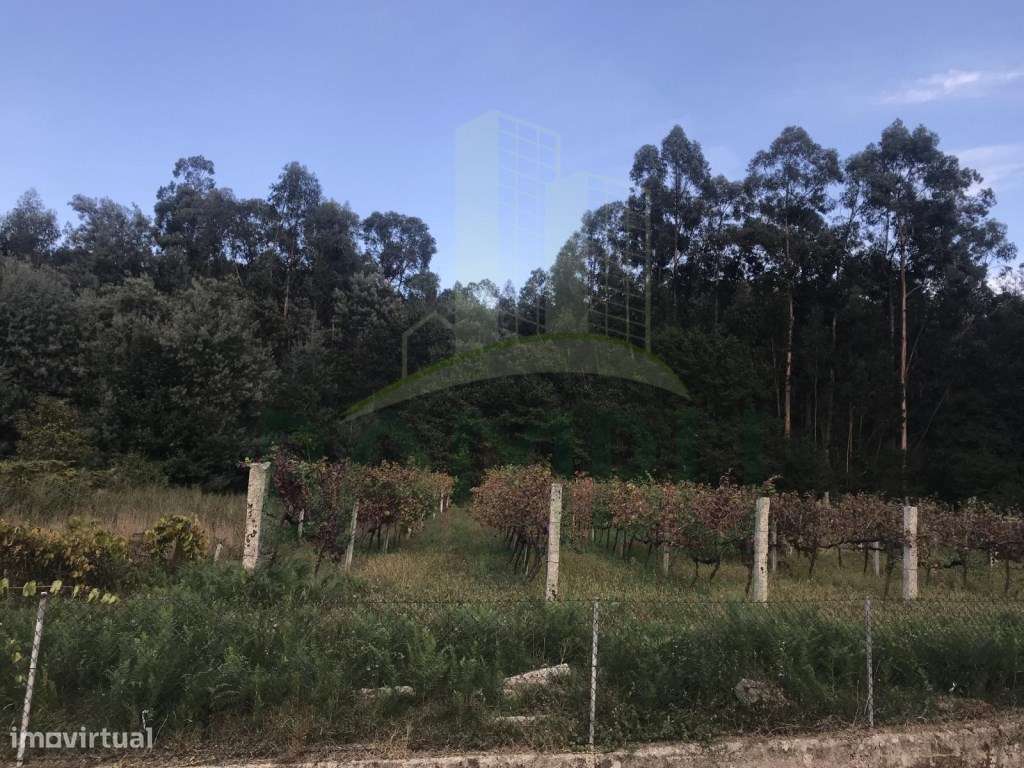 Terreno para construção em Ganfei - Grande imagem: 2/4