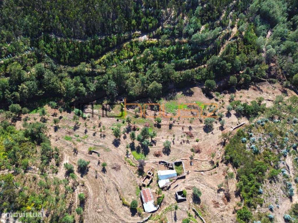 Quinta Isolada com Margem de Rio e Potencial de Eco-Retiro - Arouca-11