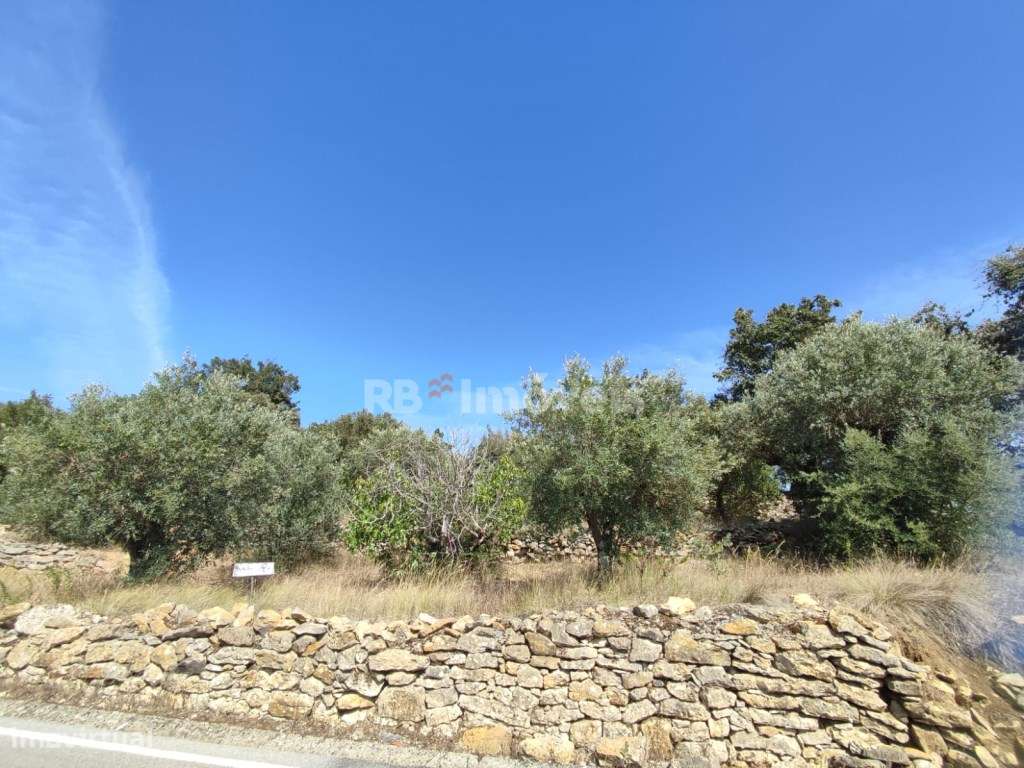 Terreno rústico com 2680m² - Sabrosa, Tomar - Grande imagem: 4/15