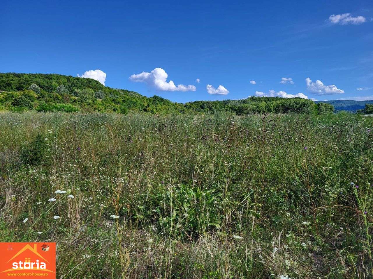 Teren intravilan Rm.Vl. Goranu-Calea Bucuresti 1100 mp aproape de oras - Imagine principală: 4/7