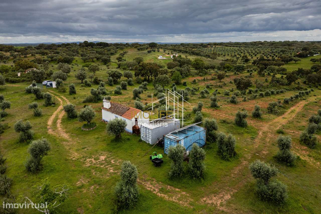 MONTINHO DO CHIADO - MALARRANHA - PAVIA-48