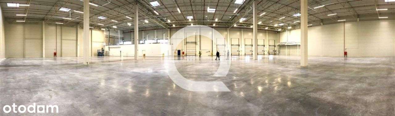 A-klasowy magazyn w pobliżu S10! - Pełny obrazek: 3/6