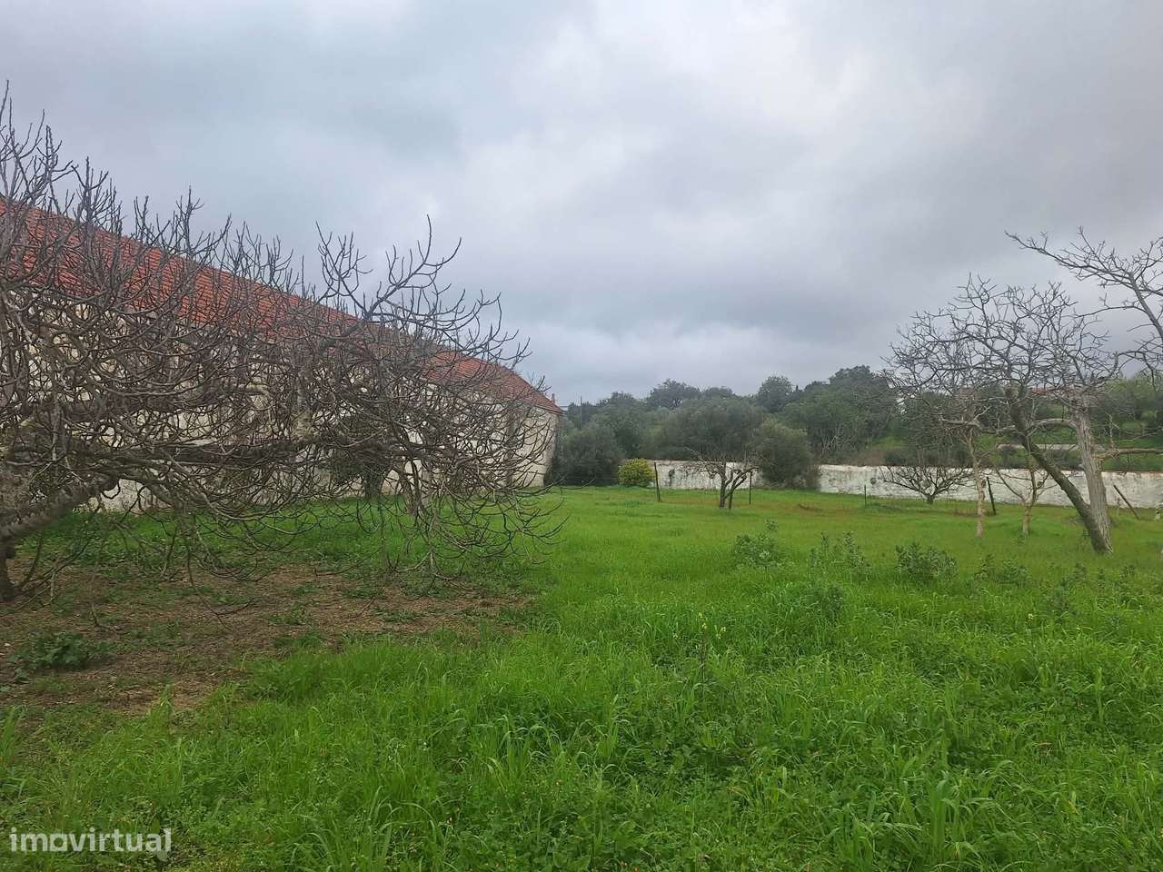 Edificio urbano - Antiga fábrica de cortiça em São Brás de Alportel-12