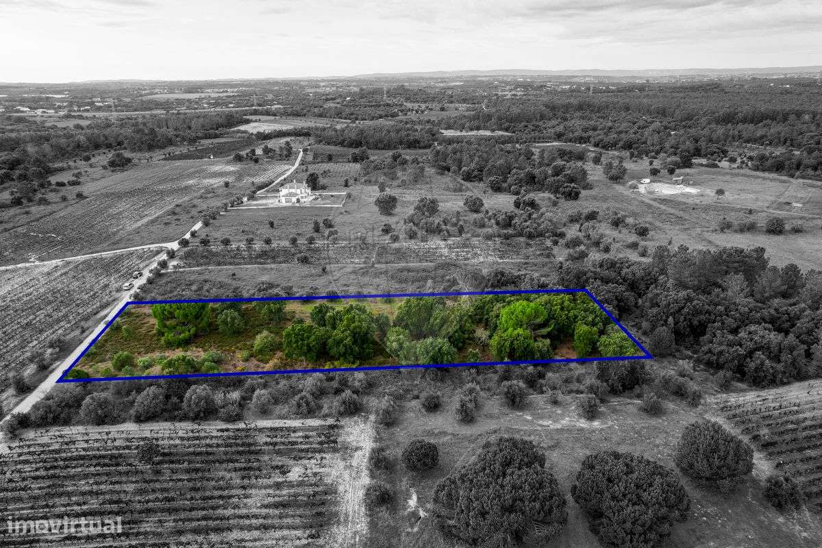 Terreno  para venda - Grande imagem: 5/16