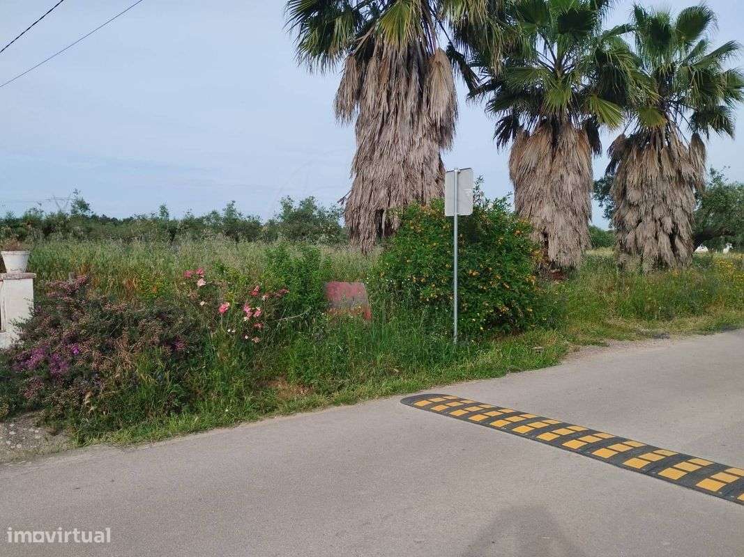 Terreno  para venda - Grande imagem: 3/6